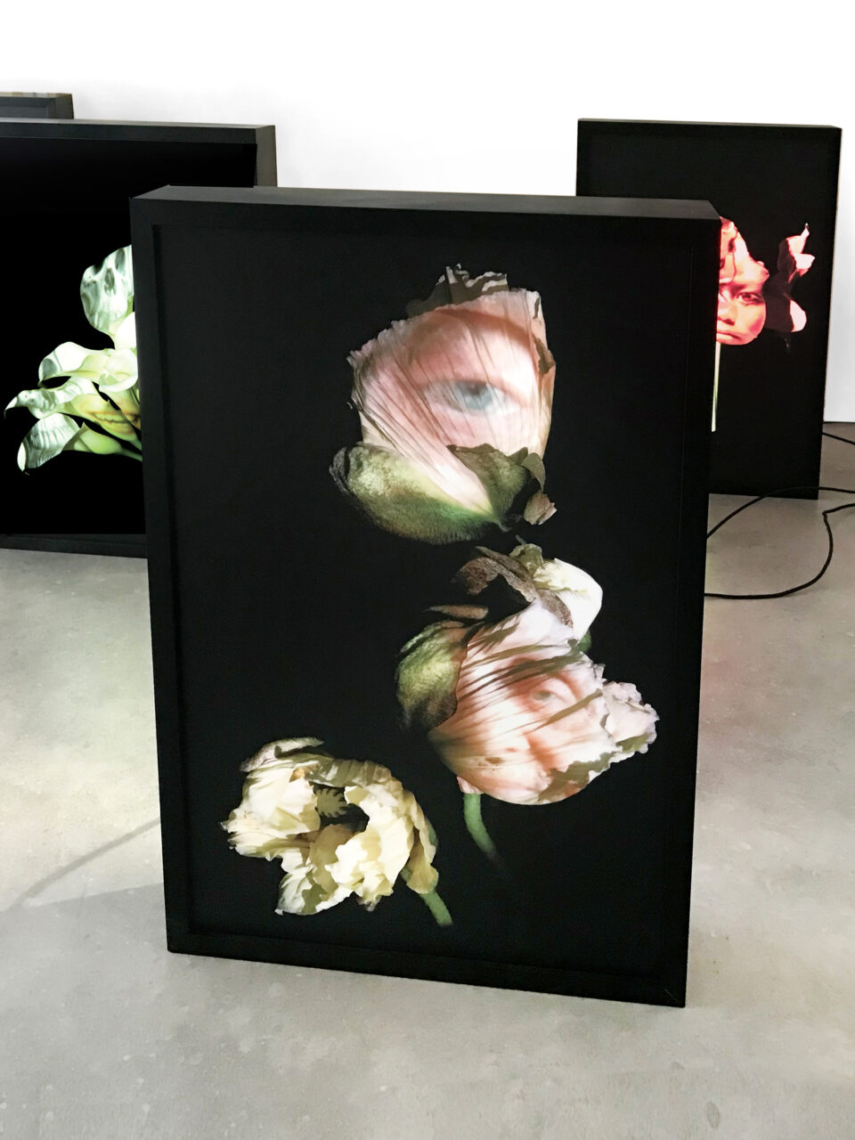 Os Sélavie / Rose Slavy, Untitled V (from the « Vanities » series)