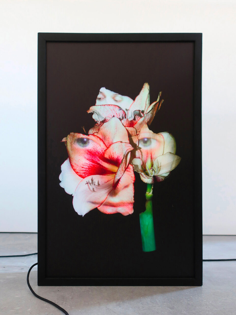 Os Sélavie / Rose Slavy, Untitled I (from the « Vanities » series)