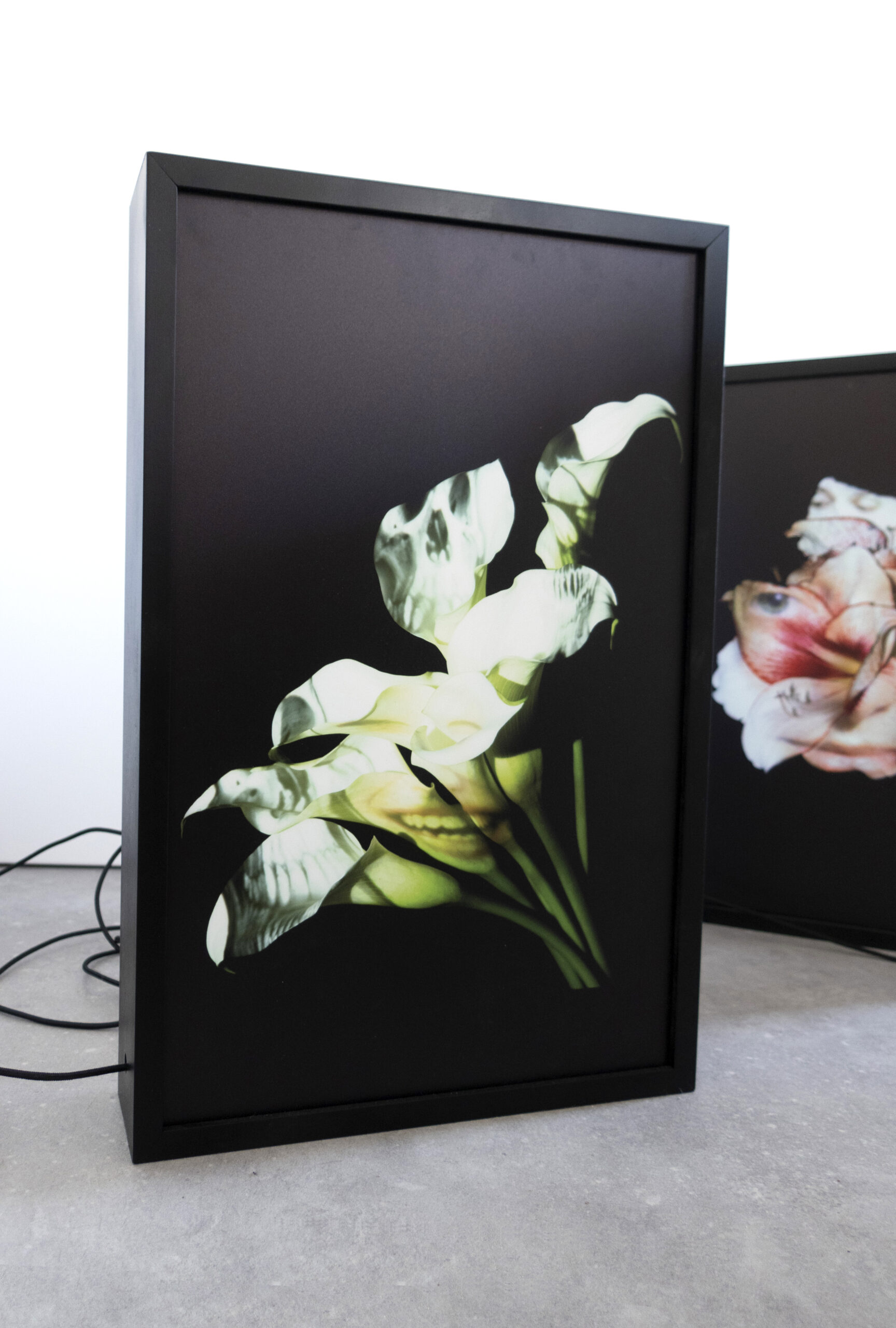 Os Sélavie / Rose Slavy, Untitled II (from the « Vanities » series)