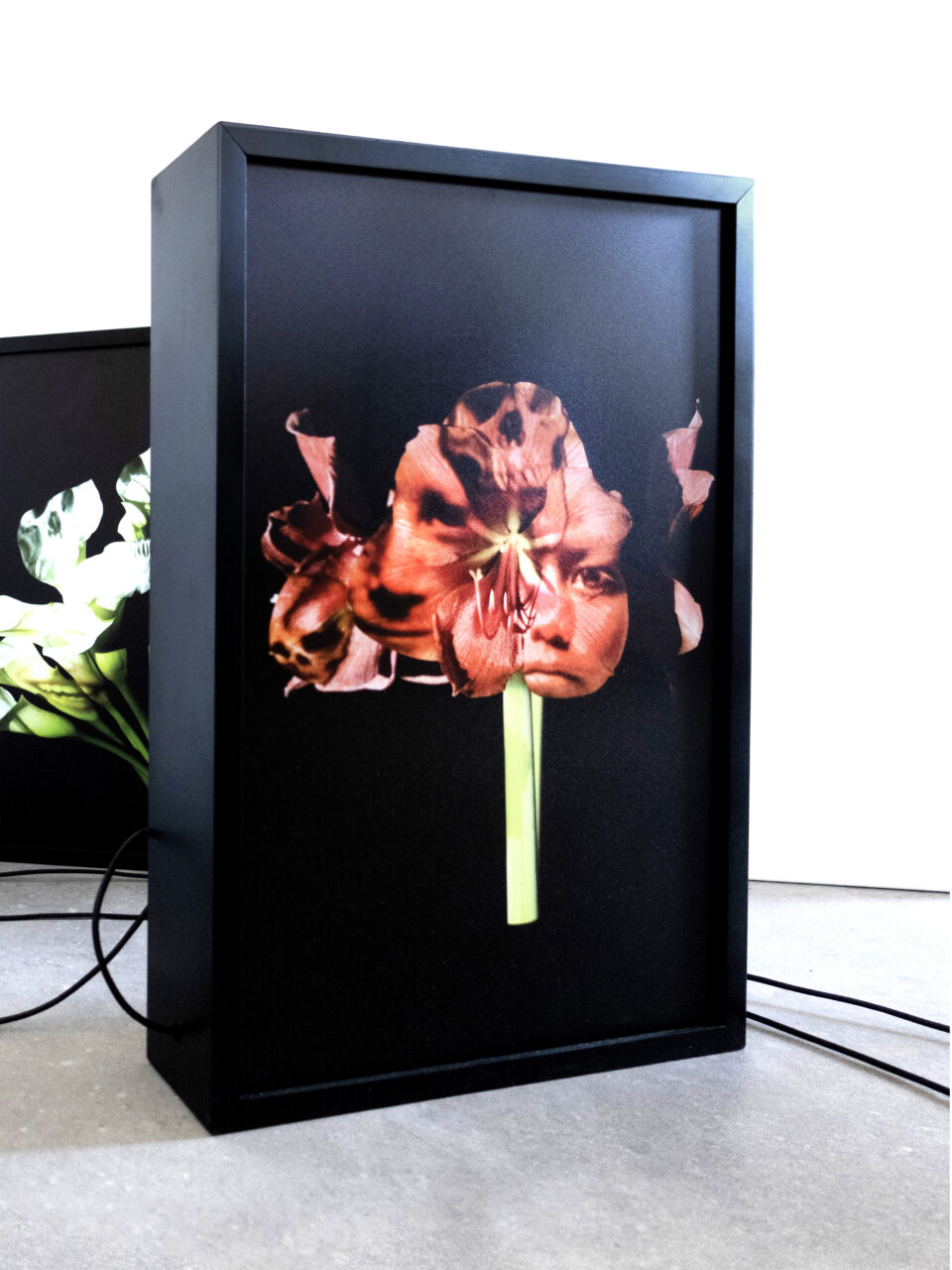 Os Sélavie / Rose Slavy, Untitled III (from the « Vanities » series)