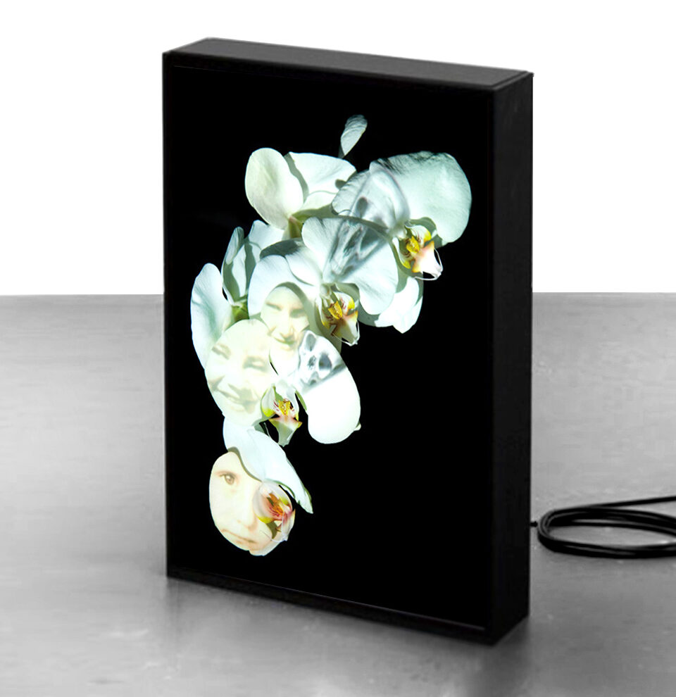 Os Sélavie / Rose Slavy, Untitled IV (from the « Vanities » series)