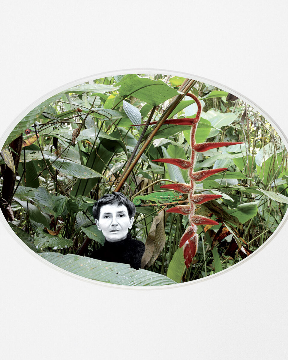 Rose Saint-Lavie / Rose Slavy, Untitled I («Paradise Lost» series)