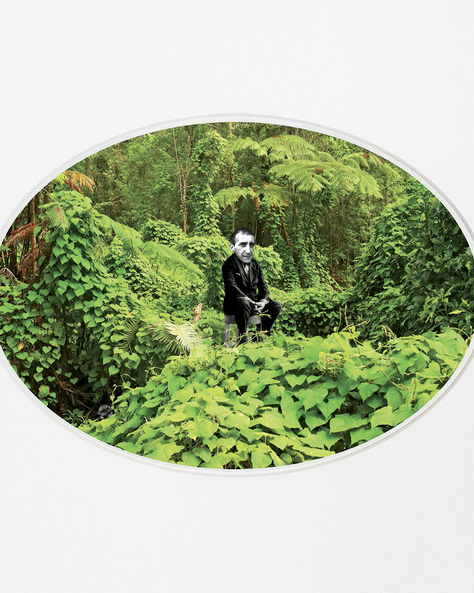 Rose Saint-Lavie / Rose Slavy, Untitled XI («Paradise Lost» series)