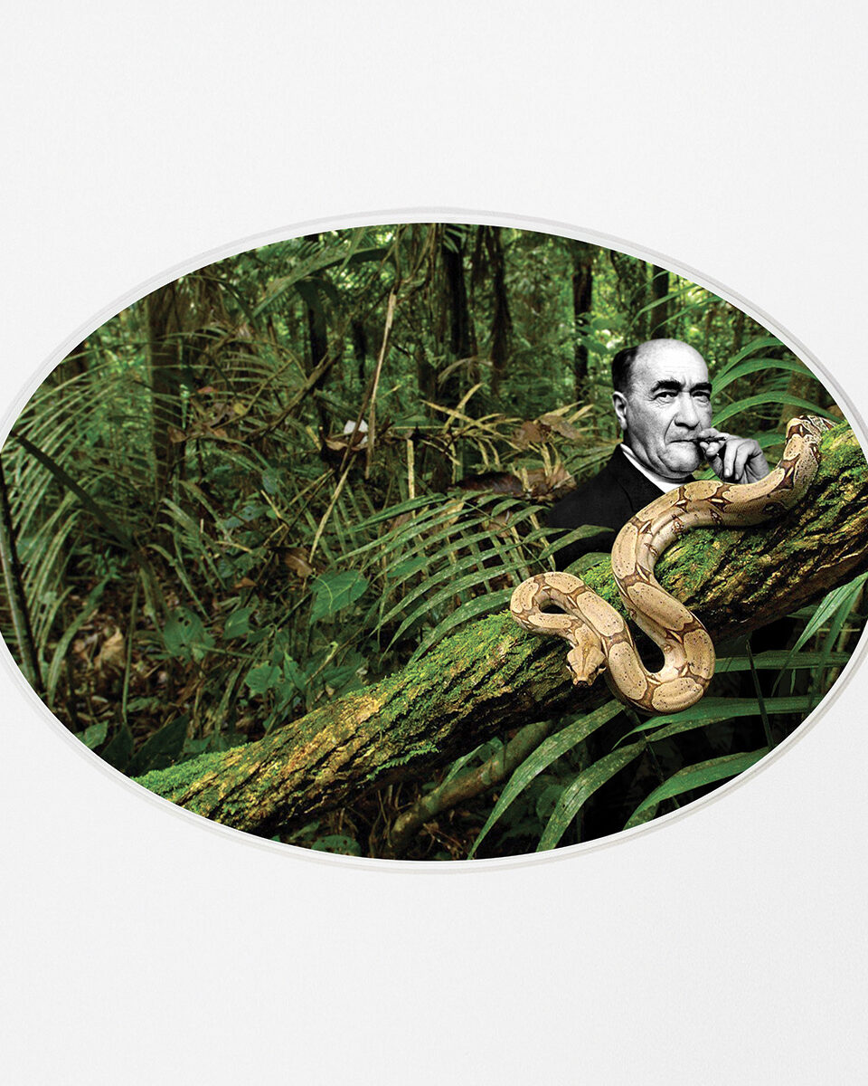 Rose Saint-Lavie / Rose Slavy, Untitled VII (« Paradise Lost» series)