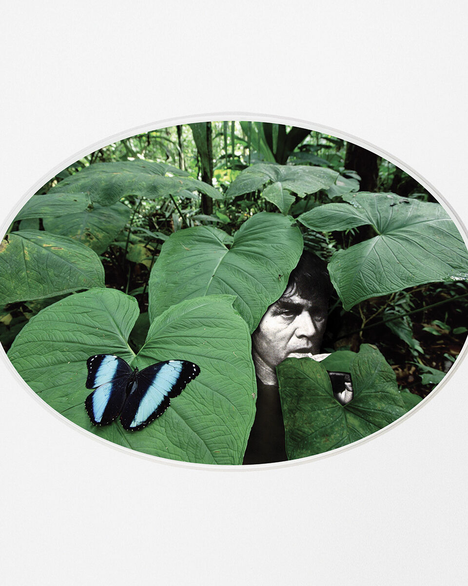 Rose Saint-Lavie / Rose Slavy, Untitled VIII (« Paradise Lost » series)