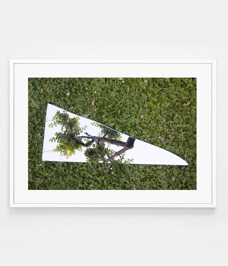 Oh Sélavie / Rose Slavy, Untitled I (from the « Instinct of the Sky » series)