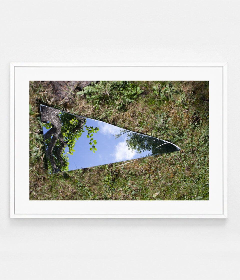 Oh Sélavie / Rose Slavy, Untitled II (from the « Instinct of the Sky » series)