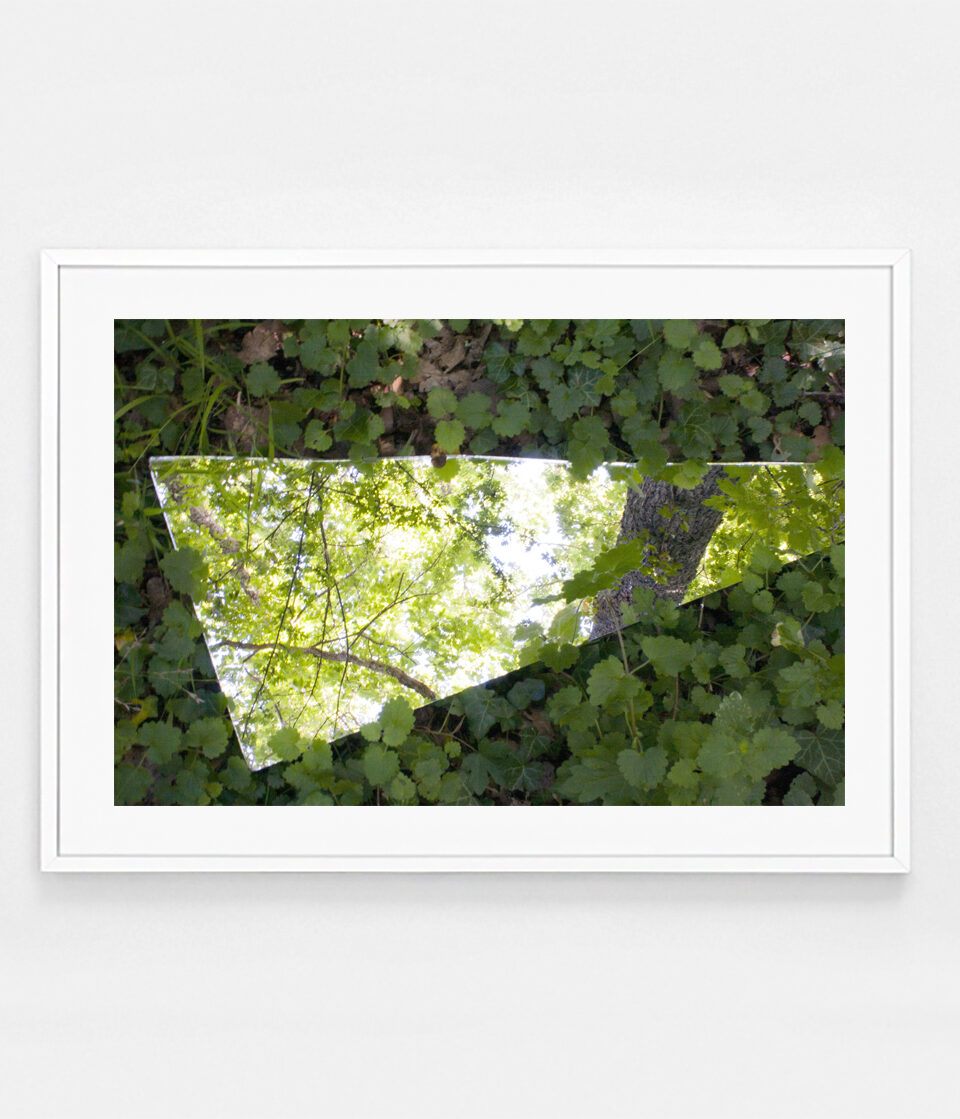 Oh Sélavie / Rose Slavy, Untitled IV (from the « Instinct of the Sky » series)