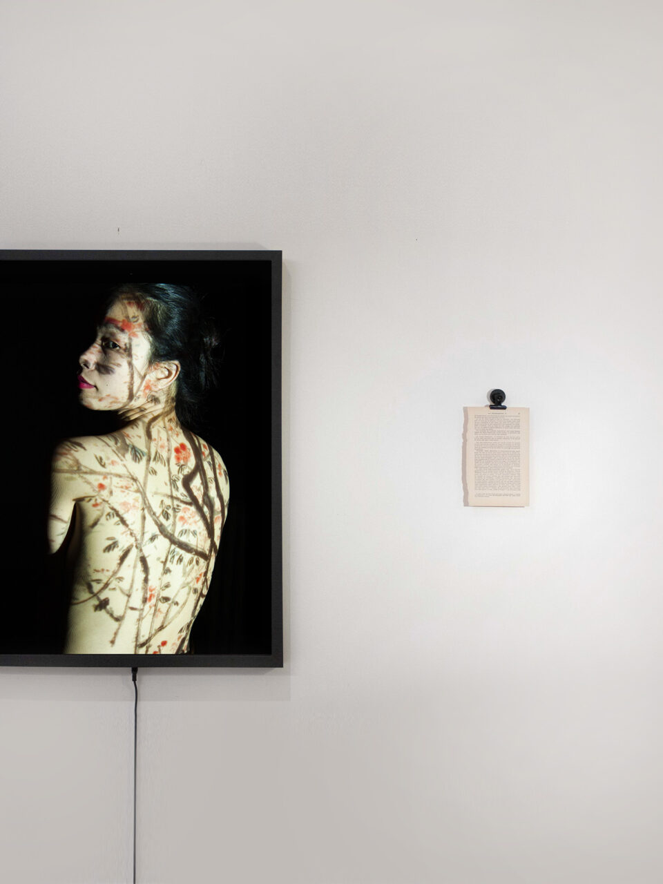 Oh Cestlavie / Rose Slavy, Untitled II (from the « Metamorphoses, chapter 1 » series)
