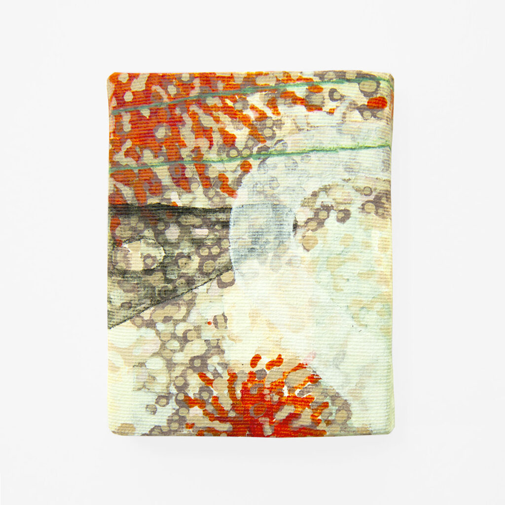 Os Cestlavie / Rose Slavy In-formes