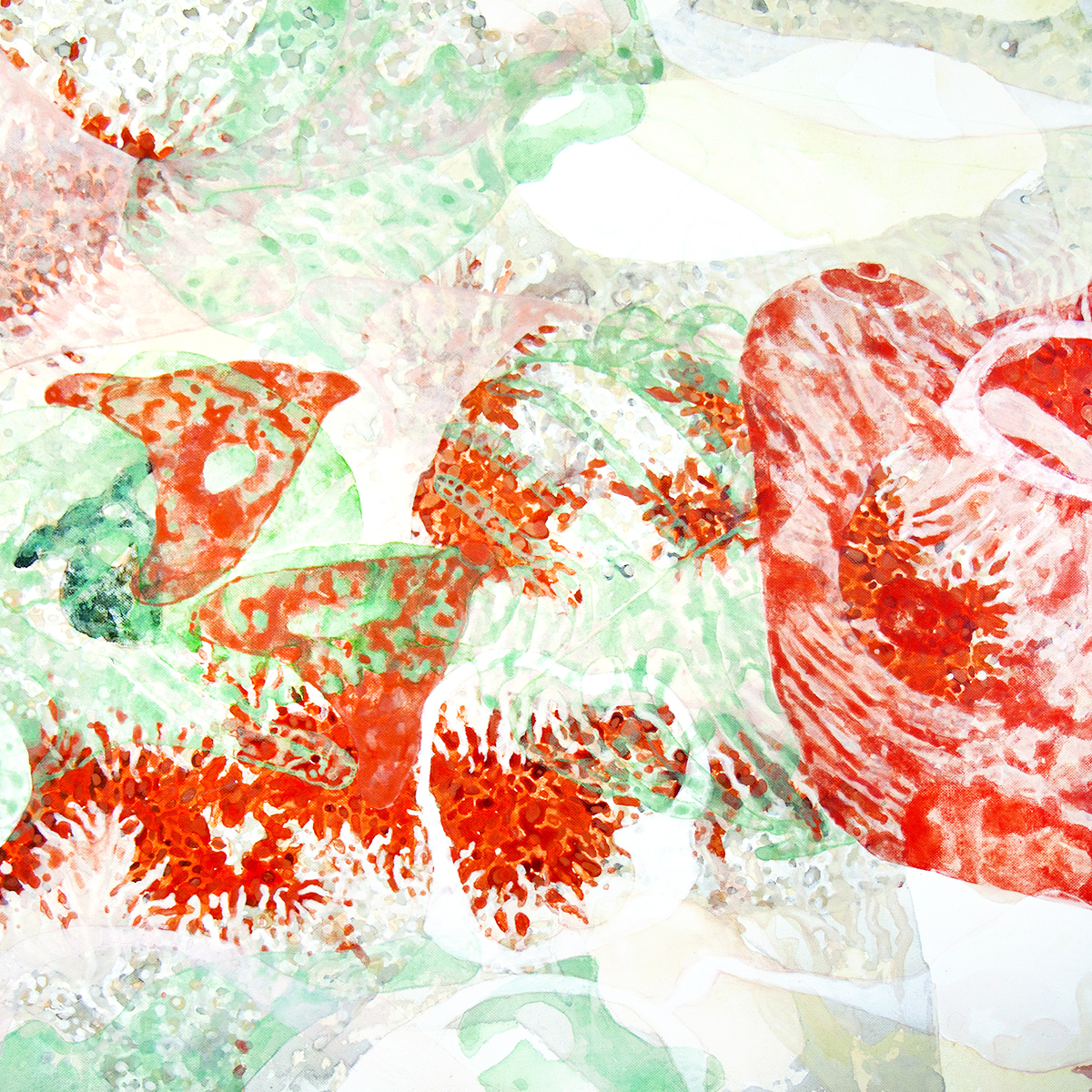 Os Cestlavie / Rose Slavy In-formes