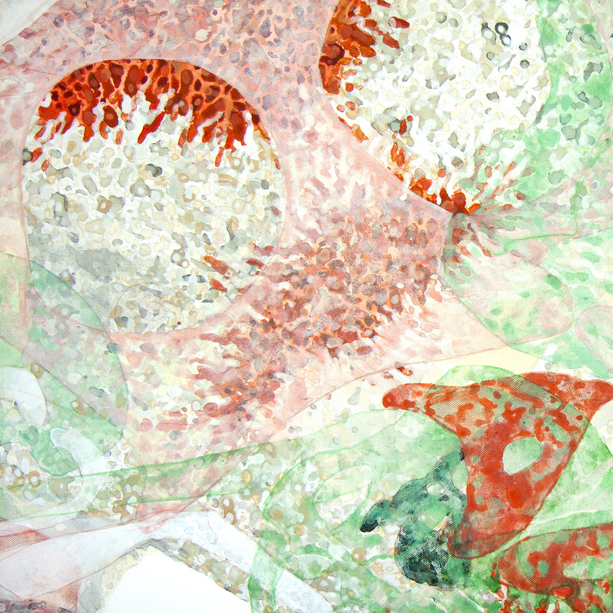 Os Cestlavie / Rose Slavy In-formes