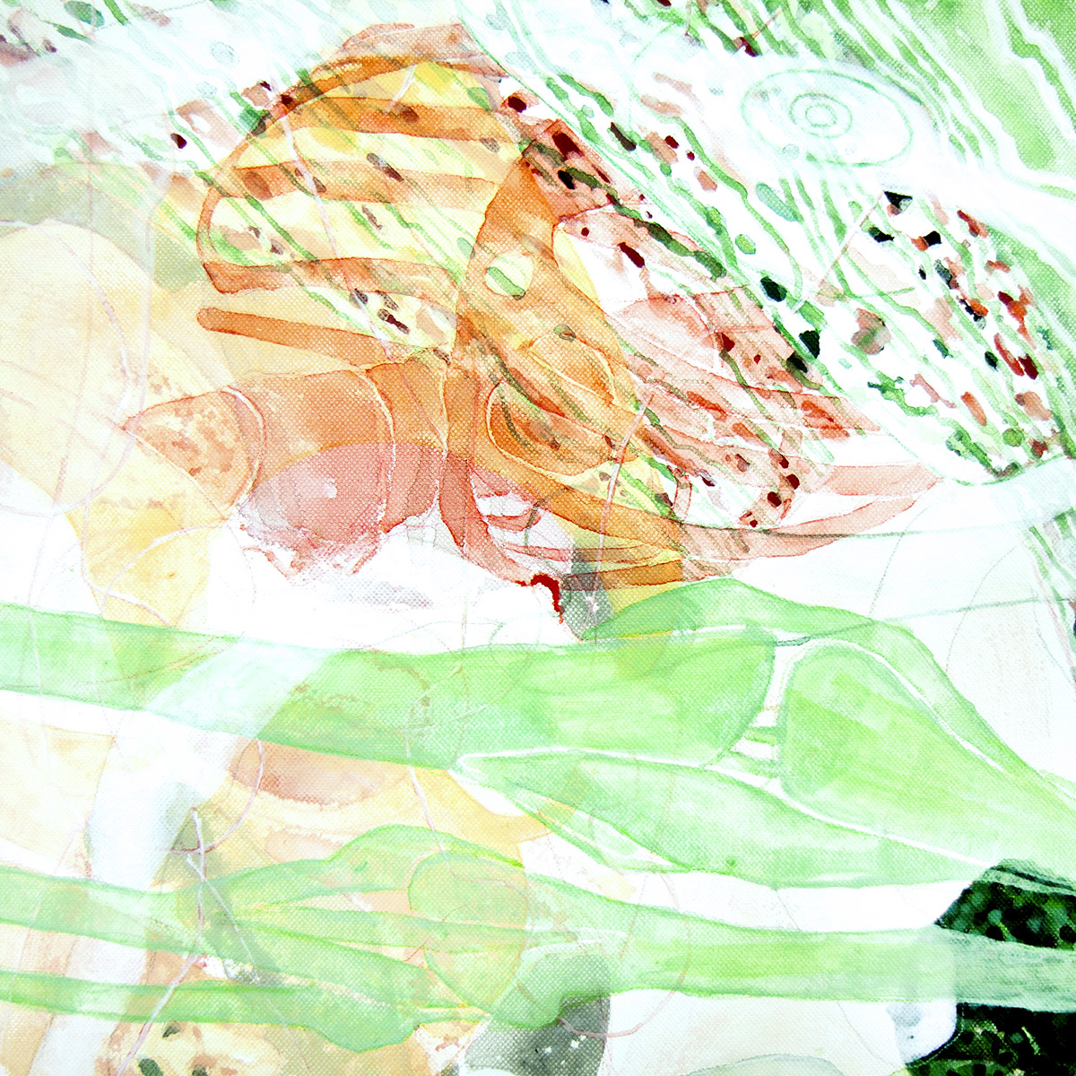 Os Cestlavie / Rose Slavy In-formes