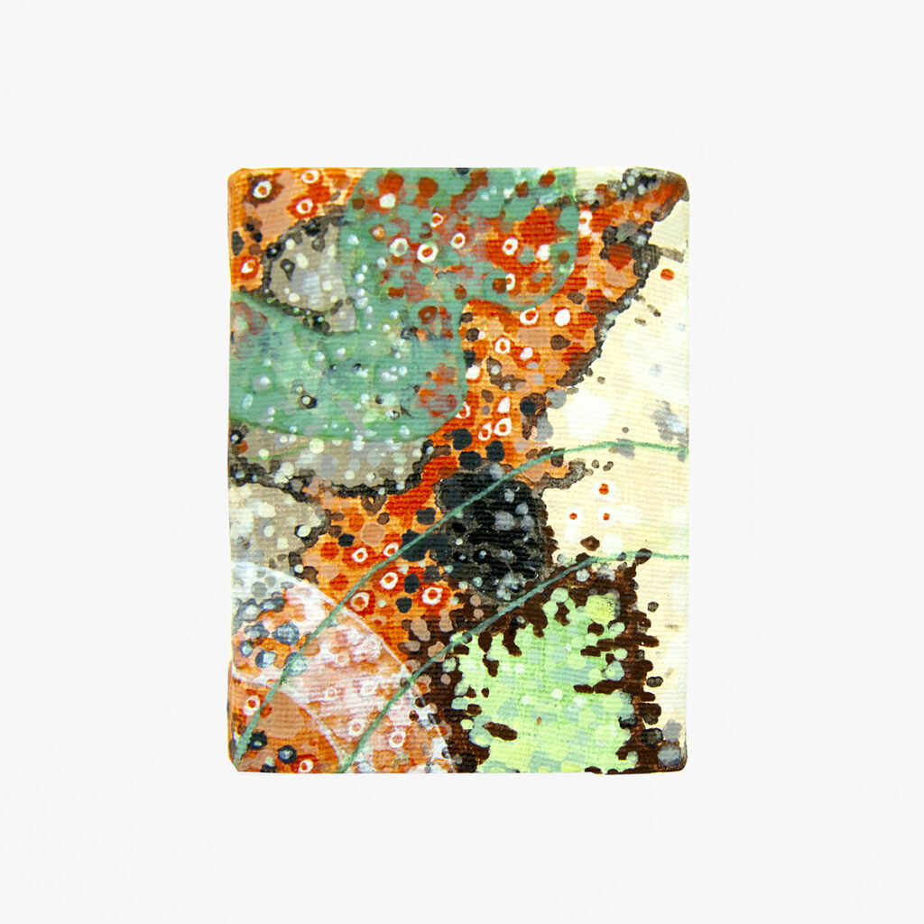 Os Cestlavie / Rose Slavy In-formes