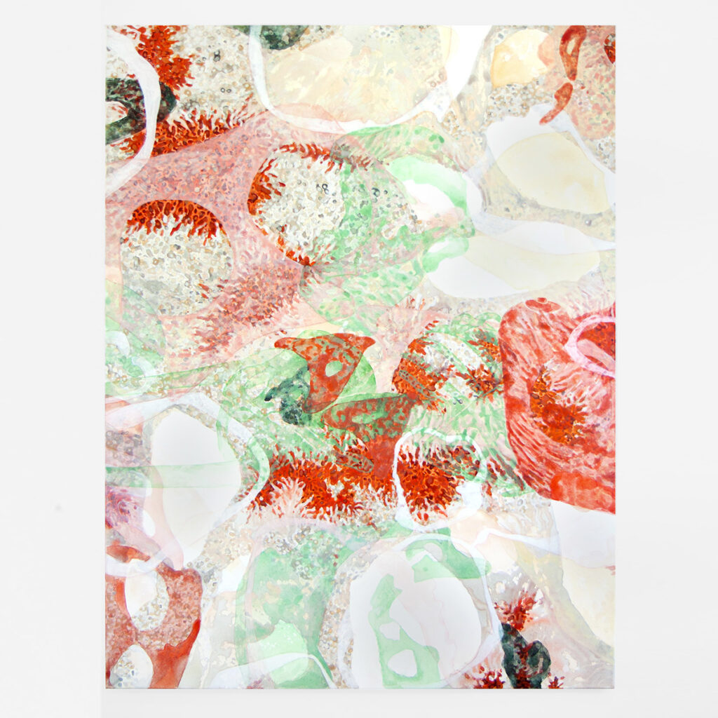 Os Cestlavie / Rose Slavy In-formes