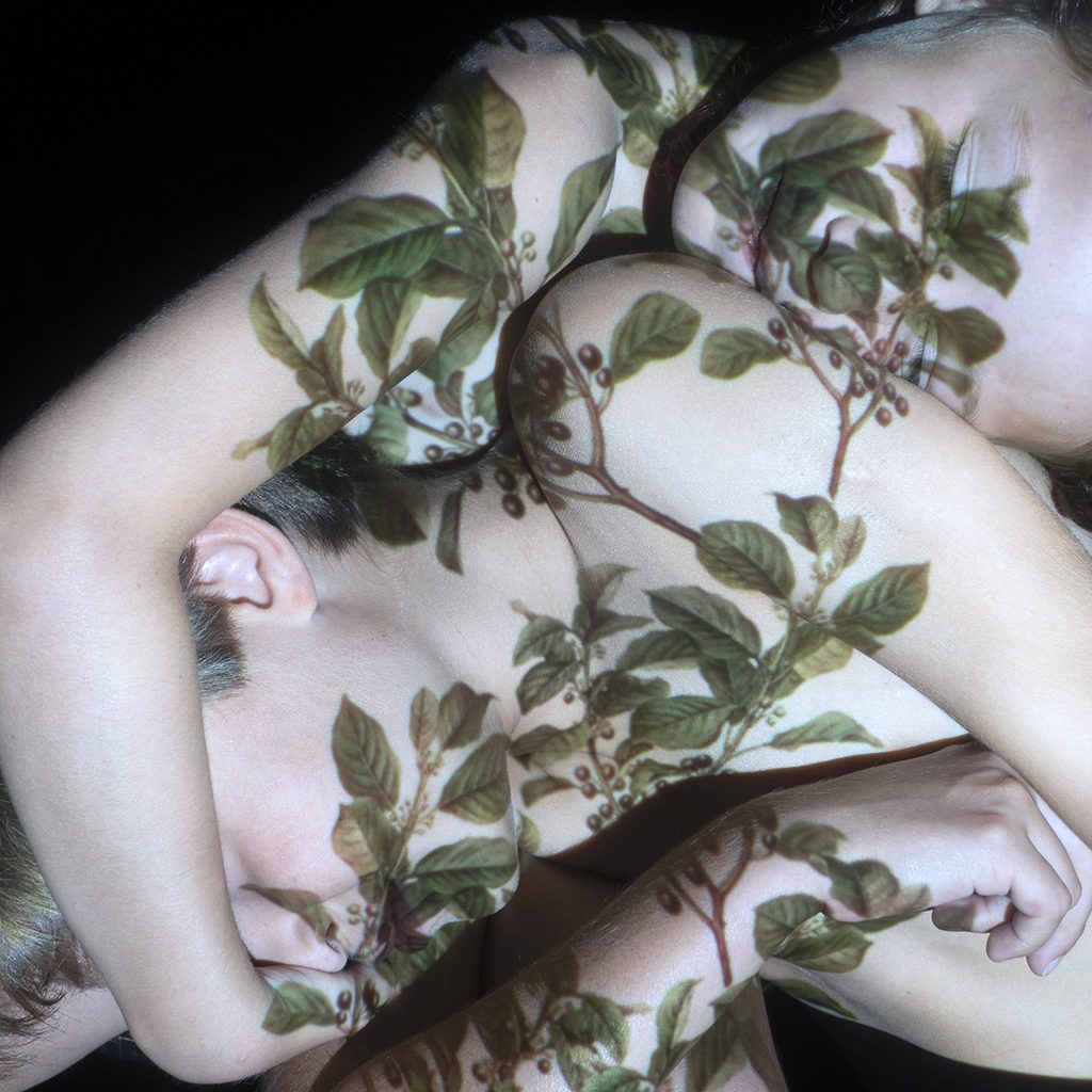Rose Slavy "Metamorphoses"