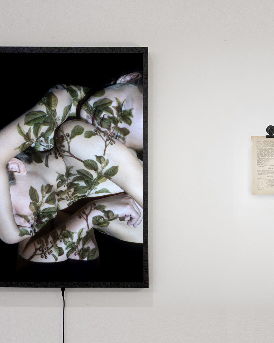 Oh Cestlavie / Rose Slavy, Untitled IV (Philemon and Baucis) (from the « Metamorphoses, Chapter 3 » series)